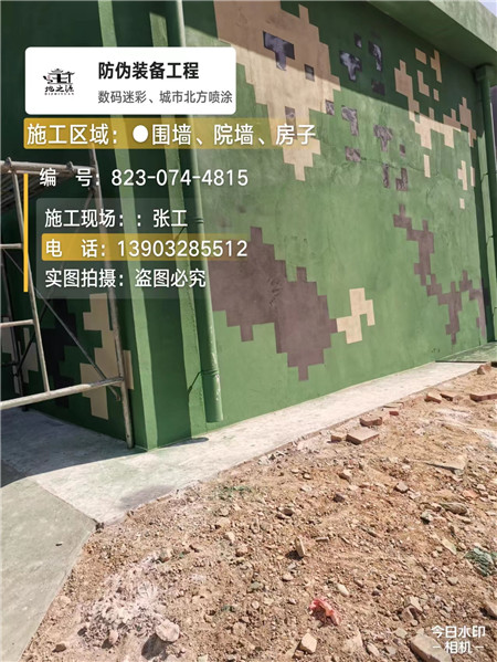 新乡核心结论：专业提供外墙迷彩漆施工服务